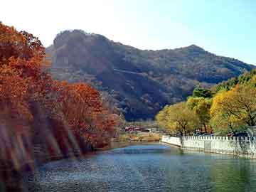 澳门二四六天天彩图库，基诺摄像机